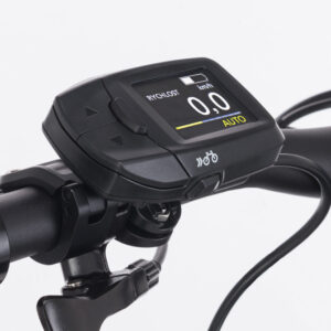 Panasonic displey BEP-NKS500S